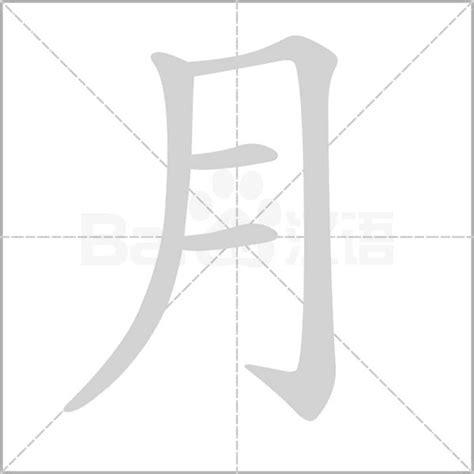 月字部首的字|月部